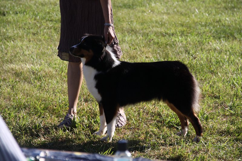 IMG_0298.JPG