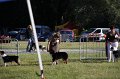 IMG_0279