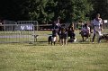 IMG_0282