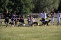 IMG_0283