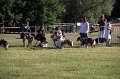 IMG_0284
