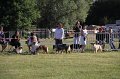 IMG_0285