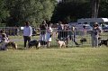IMG_0286