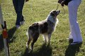 IMG_0288