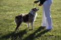 IMG_0290