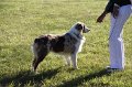 IMG_0291