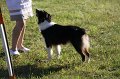 IMG_0293
