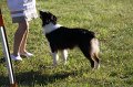 IMG_0294