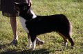 IMG_0305