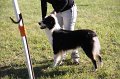 IMG_0314