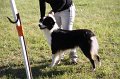 IMG_0315