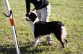IMG_0316