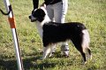 IMG_0317