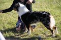 IMG_0321