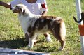 IMG_0326
