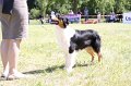 IMG_0770