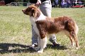 IMG_0800