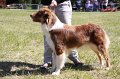 IMG_0801