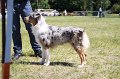 IMG_0802