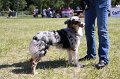 IMG_0809
