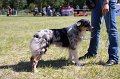 IMG_0810