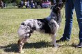 IMG_0811