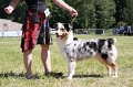 IMG_0817