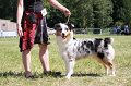 IMG_0818