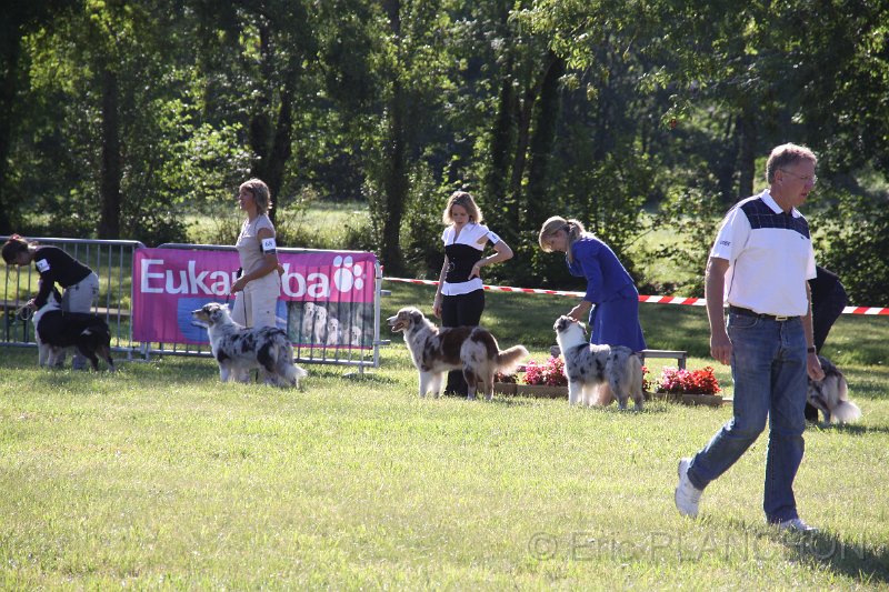 IMG_0386.JPG