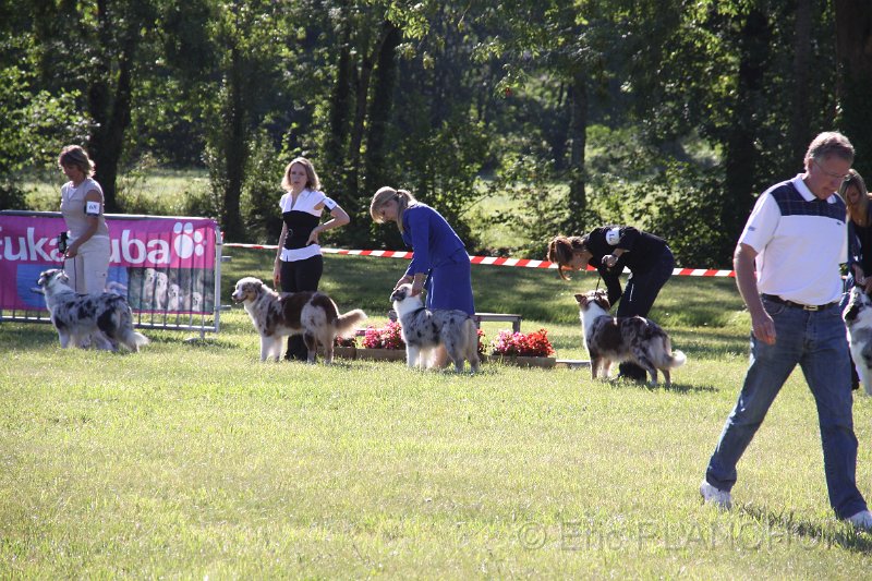 IMG_0387.JPG