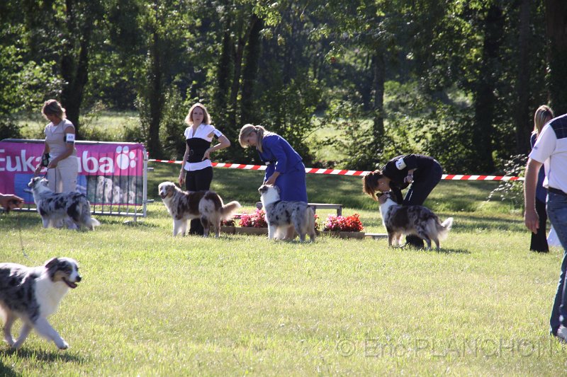 IMG_0388.JPG