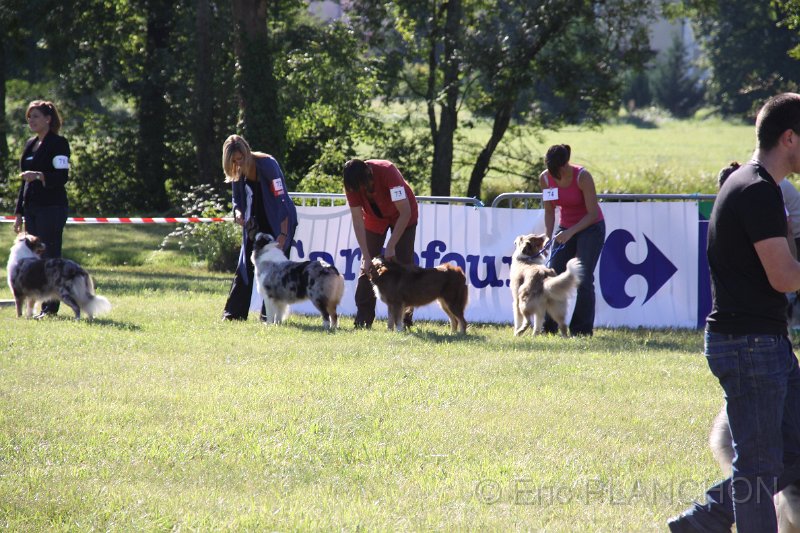 IMG_0391.JPG