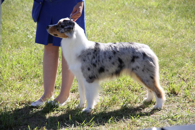 IMG_0464.JPG