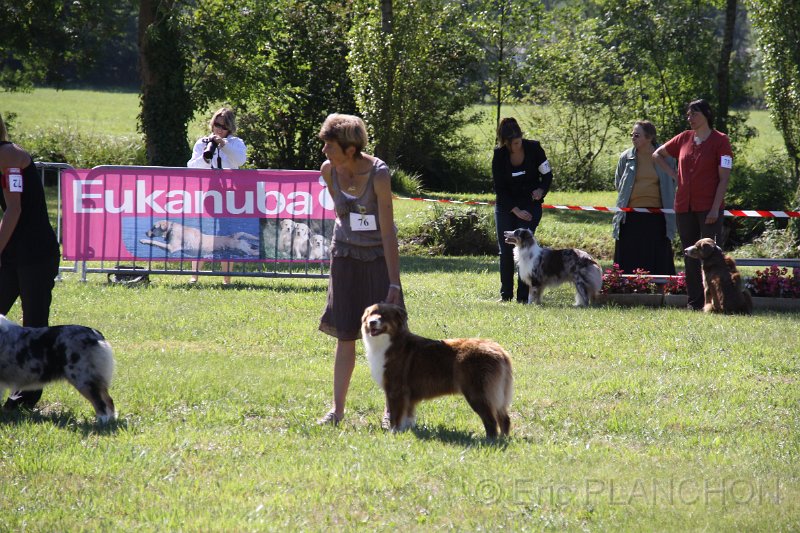 IMG_0555.JPG