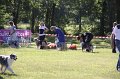 IMG_0388
