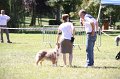 IMG_0709
