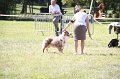 IMG_0712