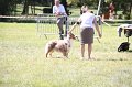 IMG_0713