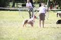 IMG_0715