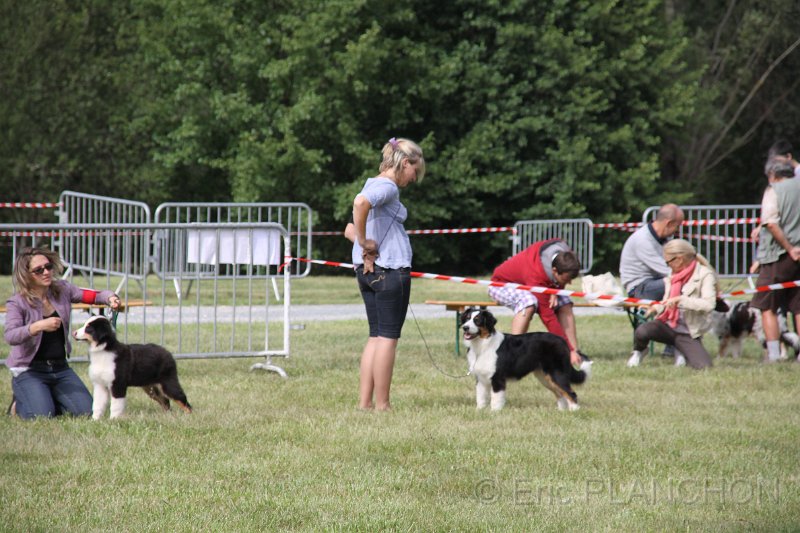 IMG_0205.JPG