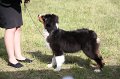 IMG_0235