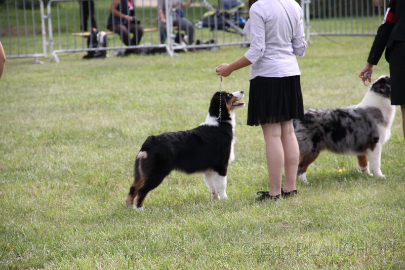 IMG_0164.JPG