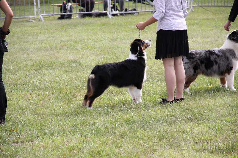 IMG_0167.JPG