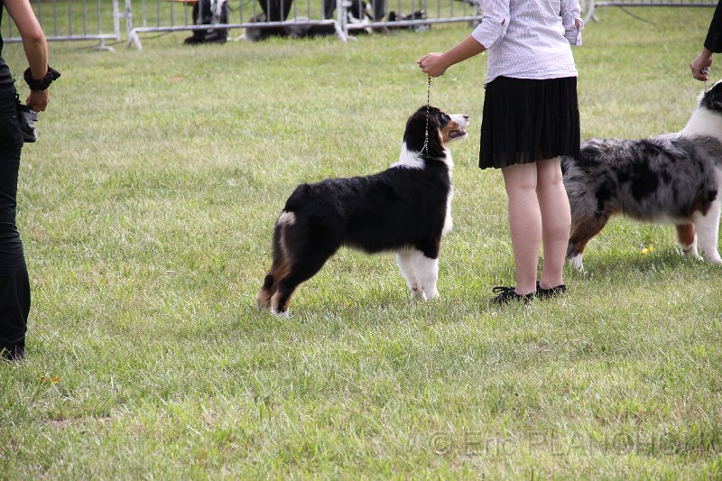 IMG_0169.JPG
