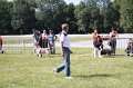 IMG_1037