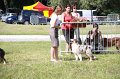 IMG_1041