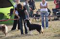 IMG_0692