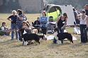 IMG_0643
