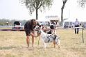IMG_0466