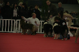 Saint Etienne 2007025